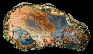 Morrisonite With Plume, 14.2 cm