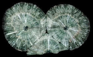 KORSHUNOVSKOY, IRKUTSK REGION, Seraphinite, 21.5 cm