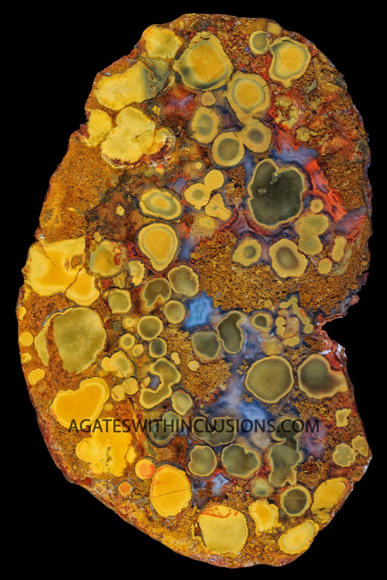 Agate Information – Agates With Inclusions